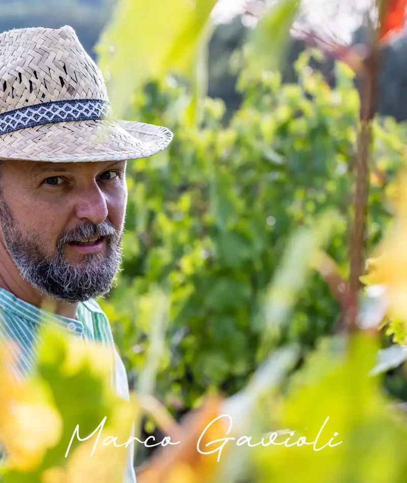 chi_siamo_marco_gavioli